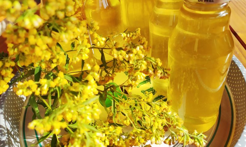 Syrop z kwiatów nawłoci