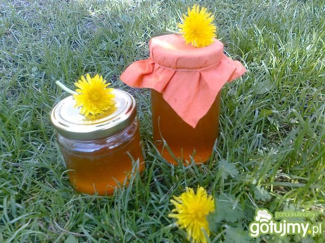 Syrop z mlecza Syrop z mlecza