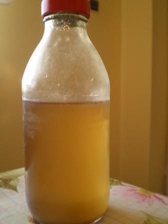 Syrop z młodych pędów sosny Syrop z młodych pędów sosny