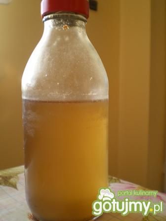 Syrop z młodych pędów sosny Syrop z młodych pędów sosny