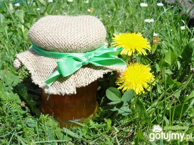 Syrop z mniszka lekarskiego Syrop z mniszka lekarskiego