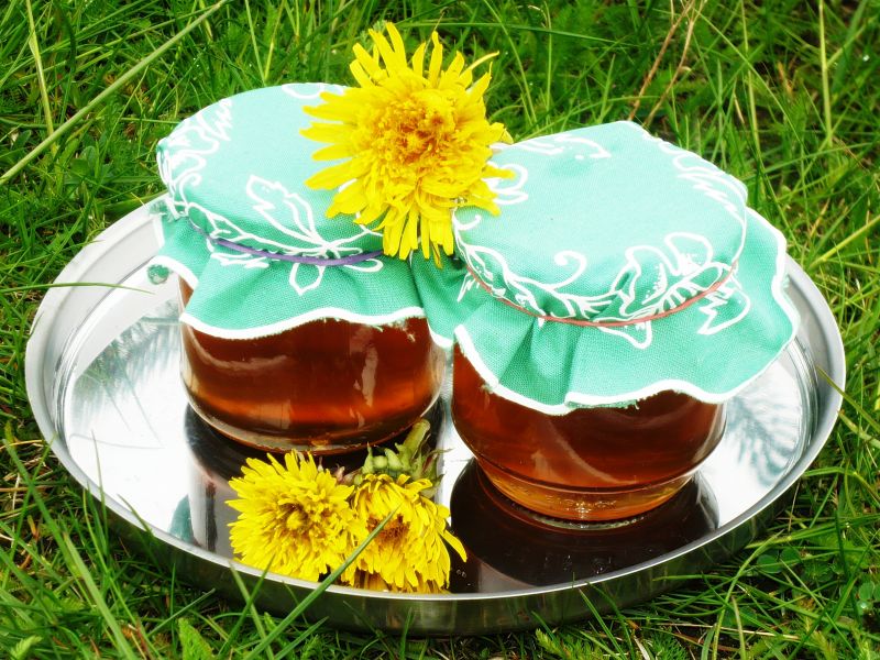 Syrop z mniszka lekarskiego