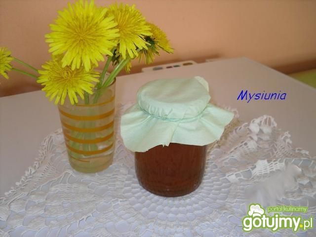 Syrop z mniszka lekarskiego 