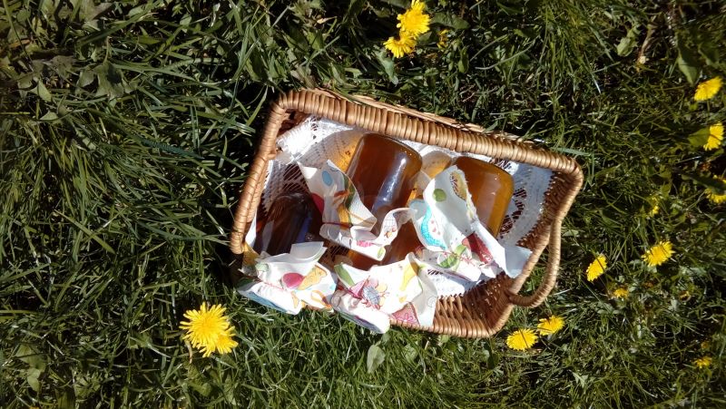 Syrop z mniszka lekarskiego z pomarańczą Syrop z mniszka lekarskiego z pomarańczą