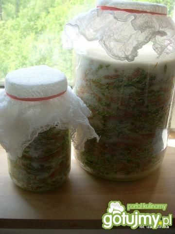 Syrop z pędów sosnowych Syrop z pędów sosnowych