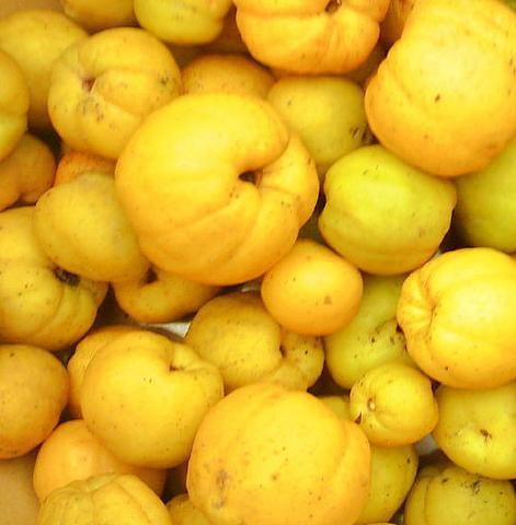 Syrop z pigwy Syrop z pigwy