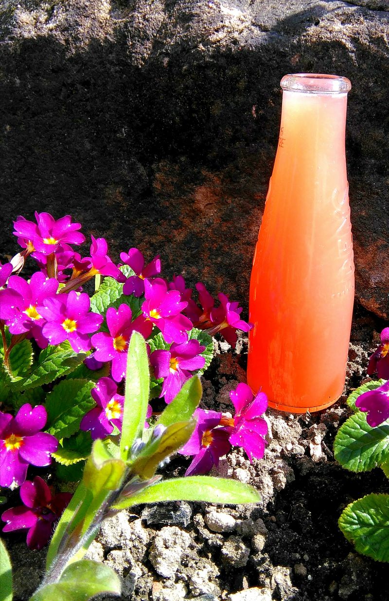 Syrop z rabarbaru a`la Igraszki losu