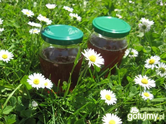 Syrop ze stokrotek Syrop ze stokrotek