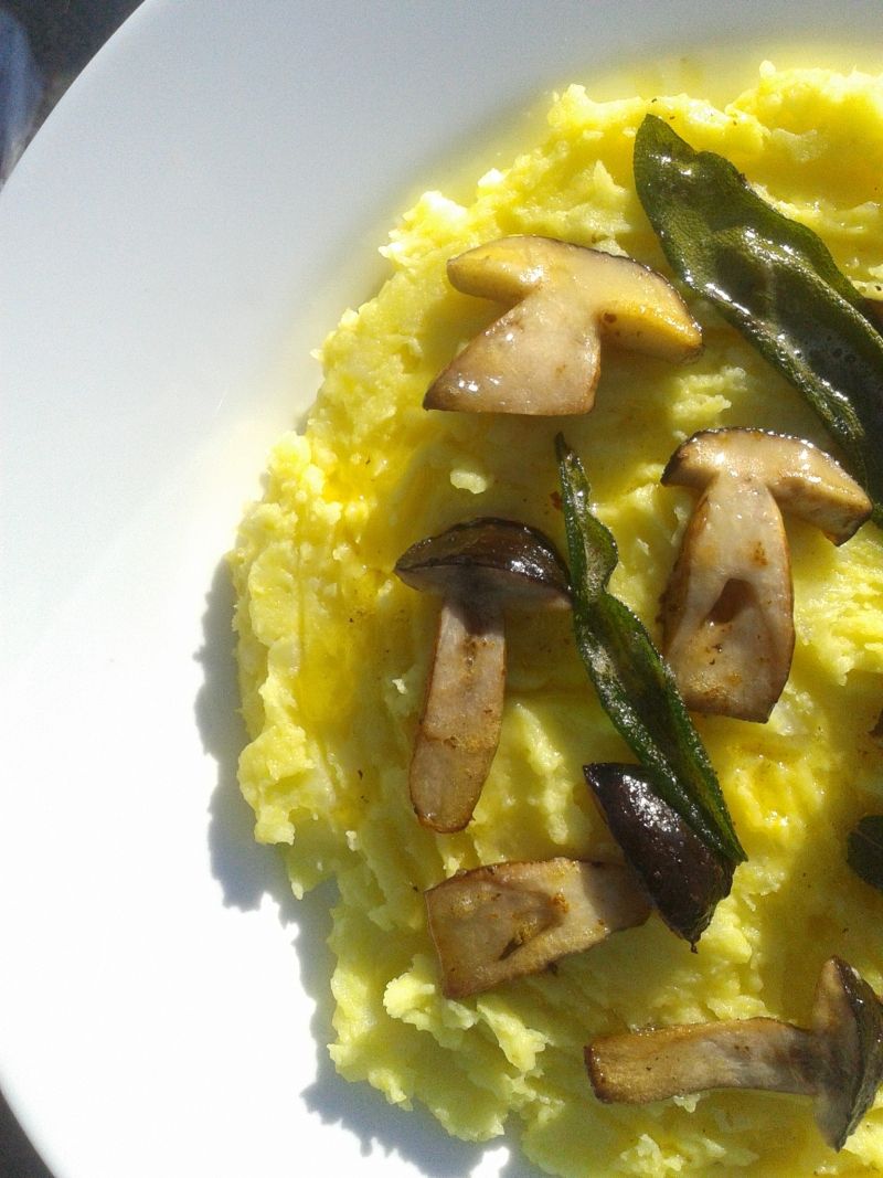 Szafranowe puree ziemniaczane z podgrzybkami  Szafranowe puree ziemniaczane z podgrzybkami