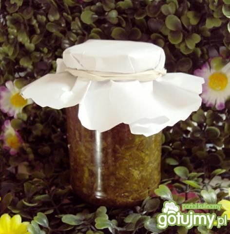 Szczaw na zimę. Szczaw na zimę.