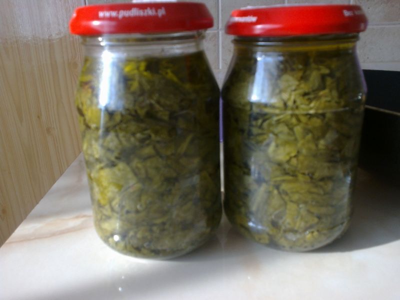 Szczaw na zimę w słoiki Szczaw na zimę w słoiki