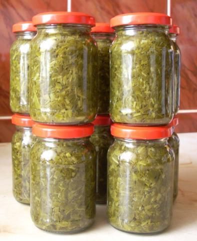 Szczaw siekany w słoikach  Szczaw siekany w słoikach