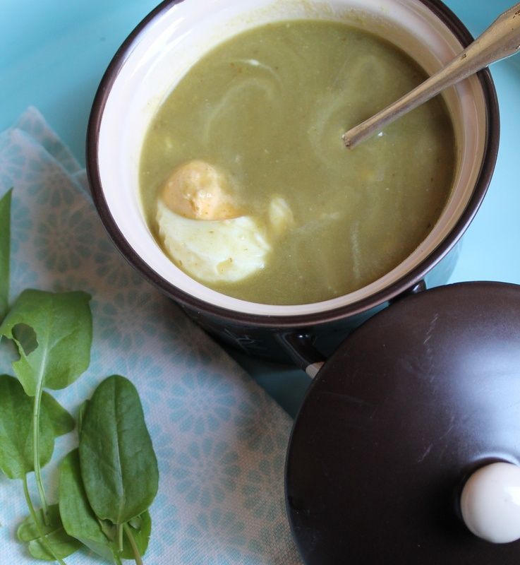 Szczawianka czyli zupa szczawiowa