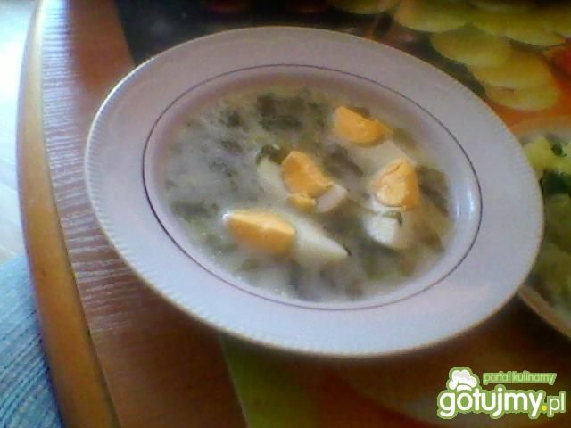 Szczawiowa  z jajkiem