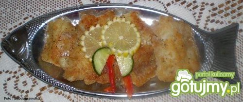 Szczupak smażony  Szczupak smażony