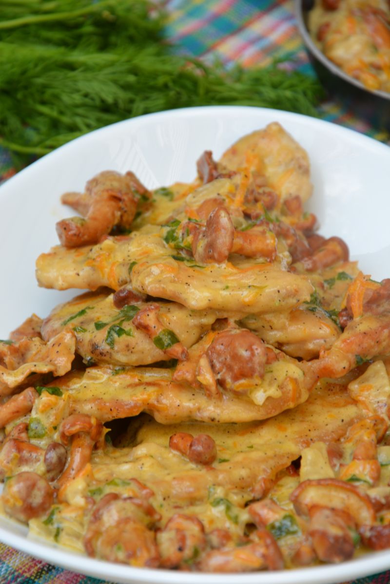 Sznycle z indyka w sosie kurkowym