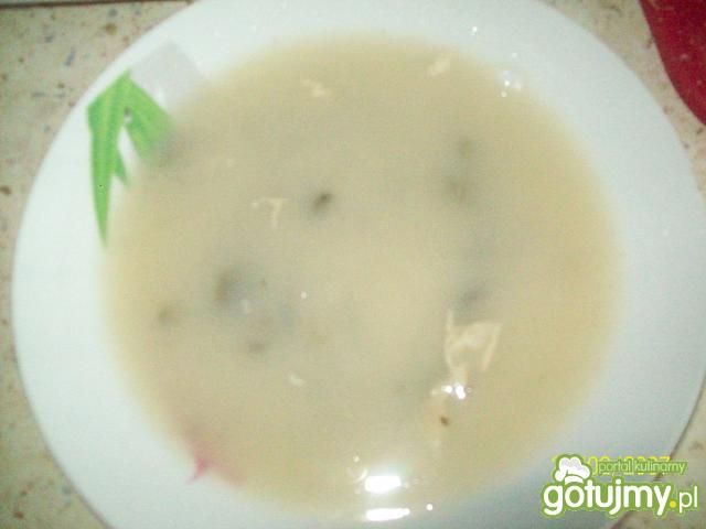 Szybka grzybianka z pniówek  Szybka grzybianka z pniówek