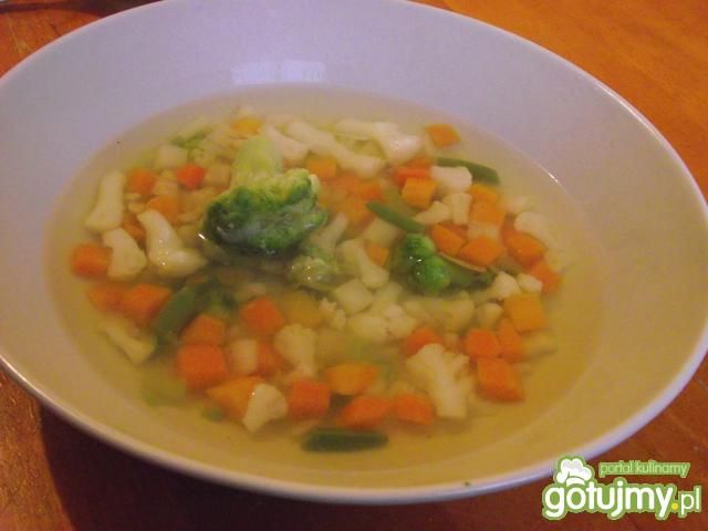 Szybka lekka jarzynowa