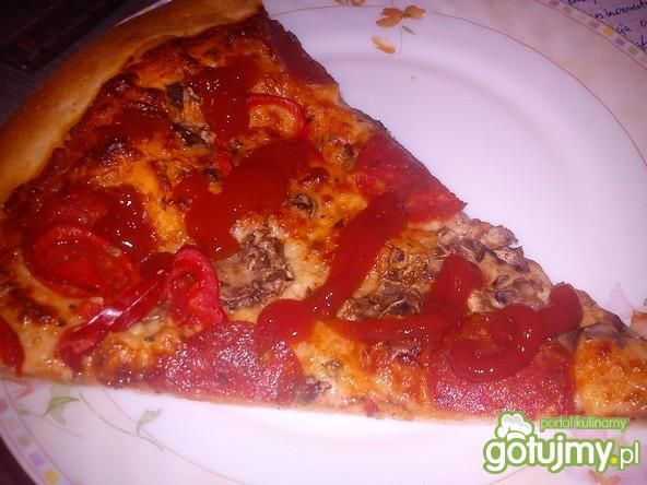 Szybka pizza studenta Szybka pizza studenta