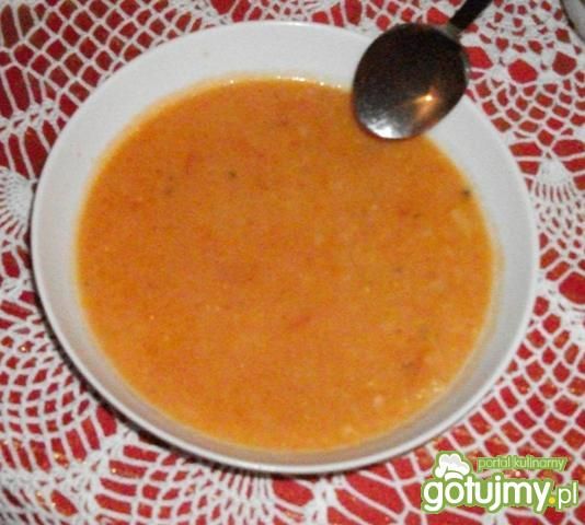 Szybka pomidorowa z ryżem