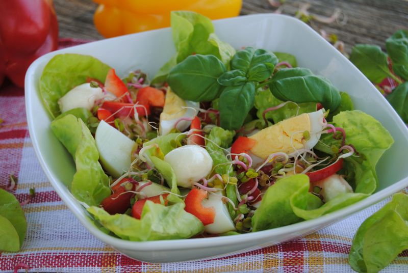 Szybka sałatka na wiosnę