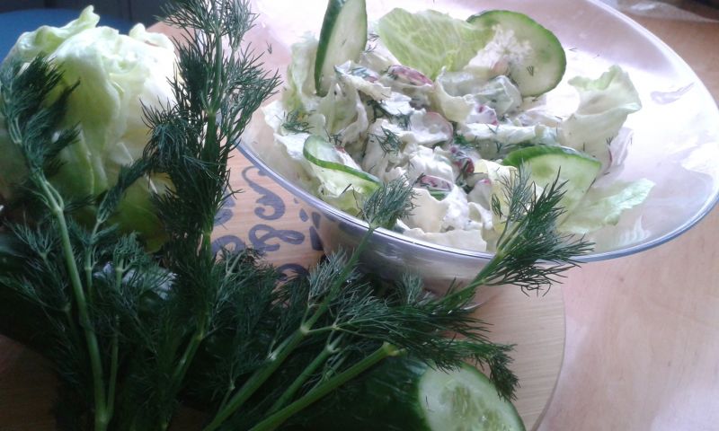 Szybka sałatka obiadowa