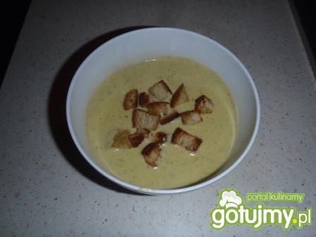 Szybka zupa - krem z serka topionego