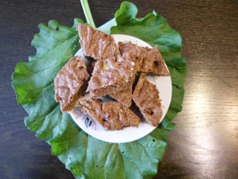 Szybki rabarbarowiec