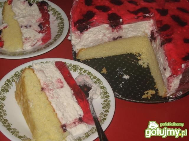 Szybki sernik na zimno 2