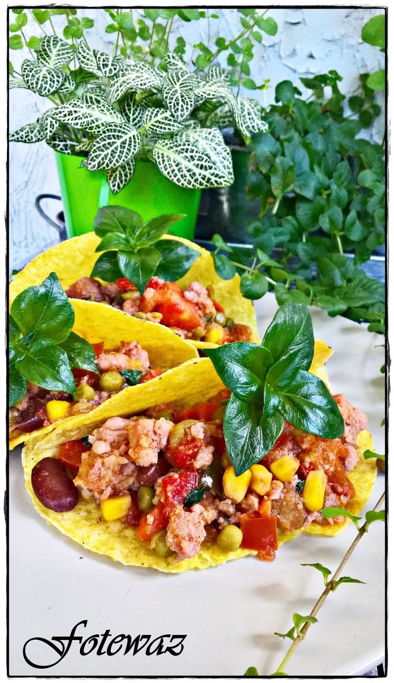 Taco po mojemu Taco po mojemu