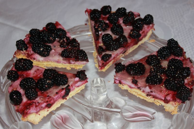 Tarta jeżynowa z budyniem 