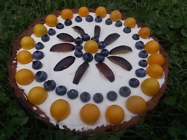 Tarta na miodzie z mirabelkami