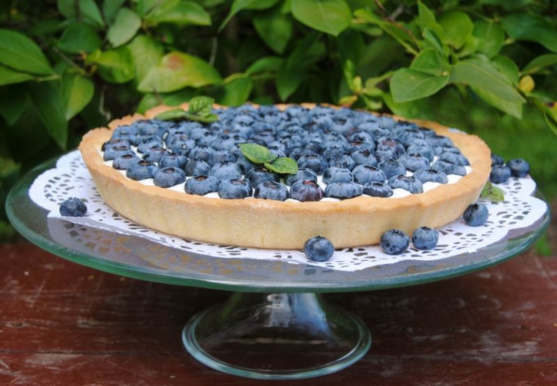 Tarta z borówkami