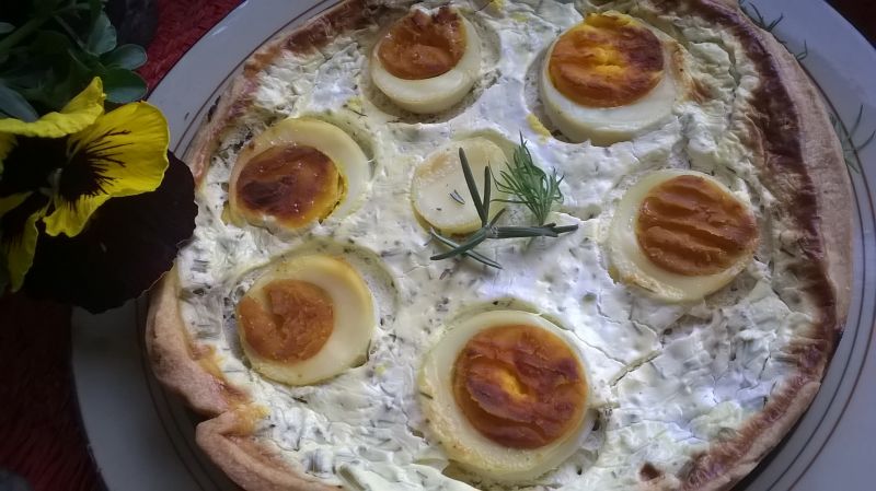 Tarta z jajkiem pod pierzynką koperkową Tarta z jajkiem pod pierzynką koperkową