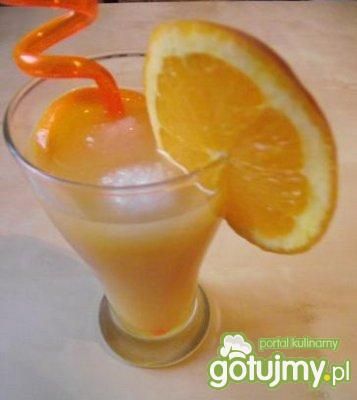 Tequila Orange Tequila Orange