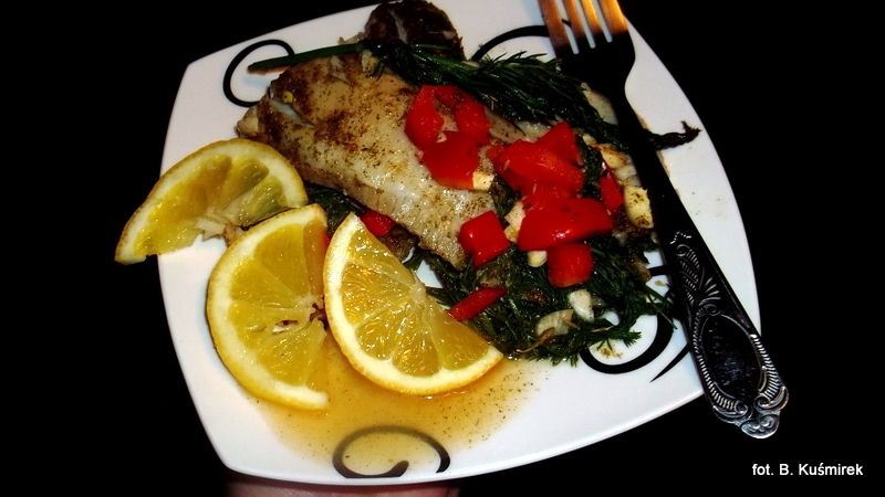 Tilapia cytrynowa Tilapia cytrynowa