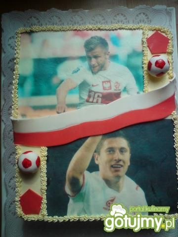 Tort Euro 2012 Tort Euro 2012