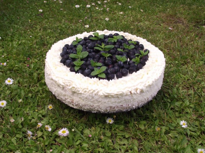 Tort kokosowo-śmietankowy z borówkami