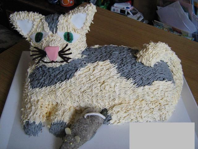 Tort Kot Gustaw Tort Kot Gustaw