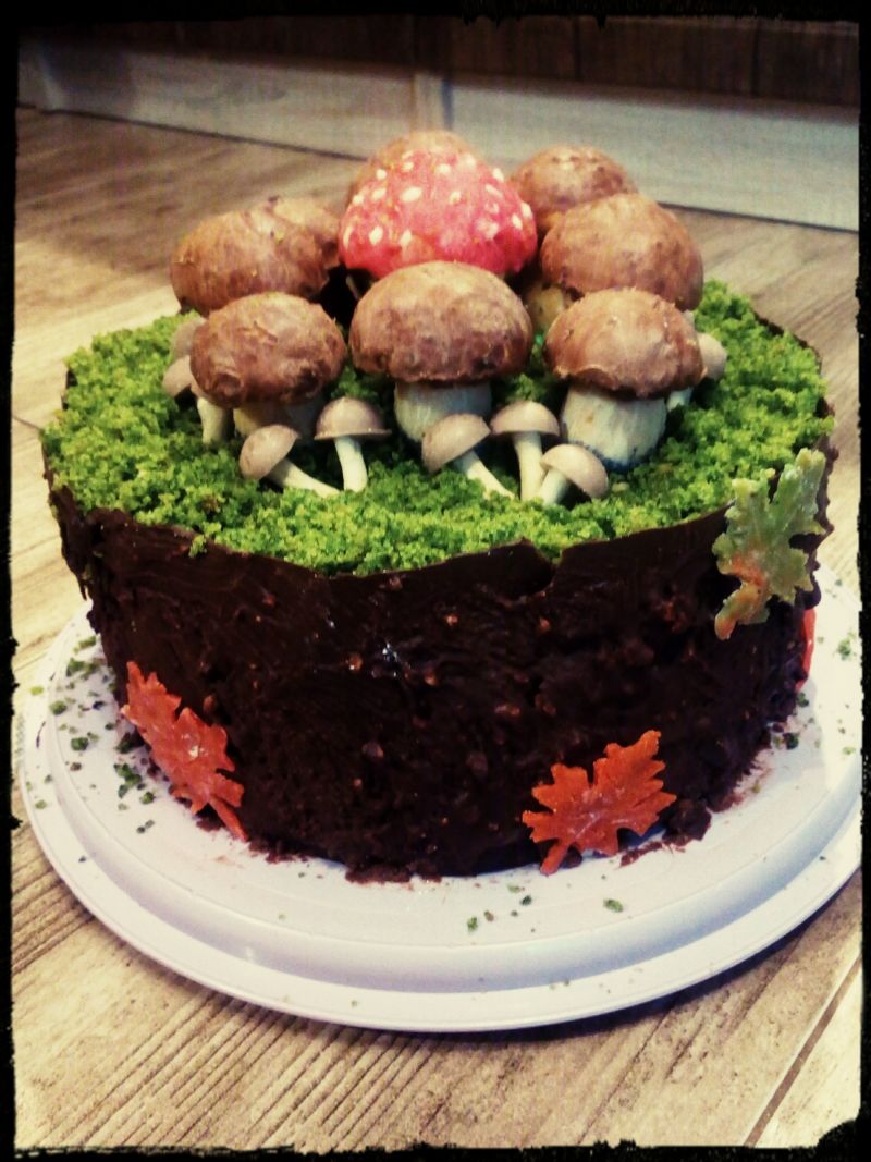 Tort leśny mech Tort leśny mech