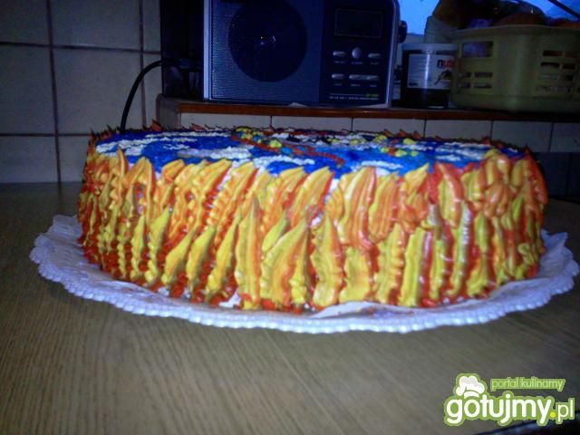 Tort Piracki