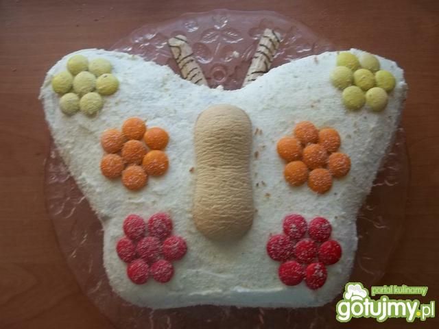 Tort w kształcie motyla Tort w kształcie motyla