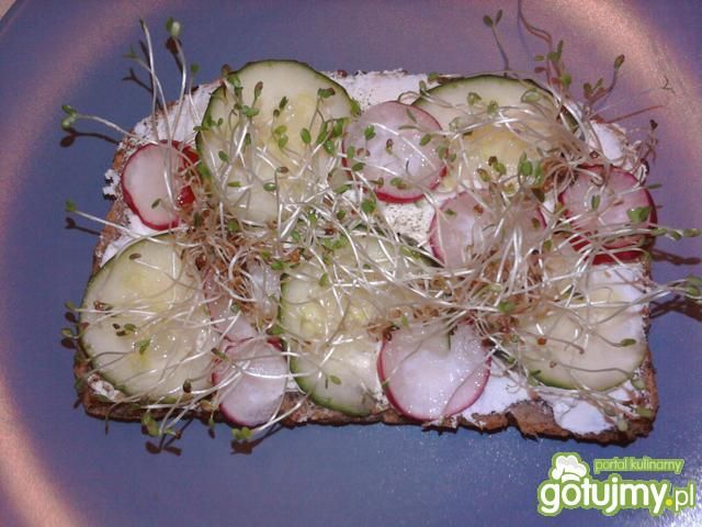 Tosty wiosenne Tosty wiosenne