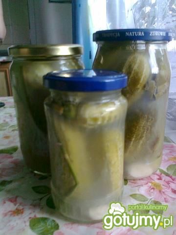 Tradycyjne ogórki kiszone Tradycyjne ogórki kiszone