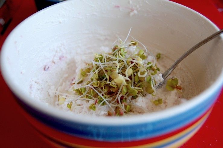 Twarożek z kiełkami i rzodkiewką  Twarożek z kiełkami i rzodkiewką