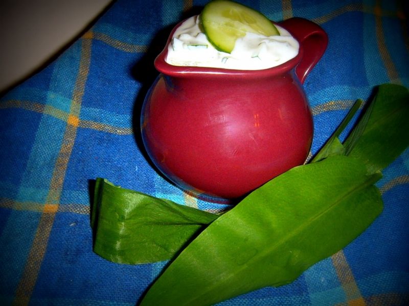 Tzatziki z czosnkiem niedźwiedzim