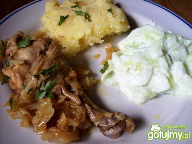 Udka w kapuście Udka w kapuście