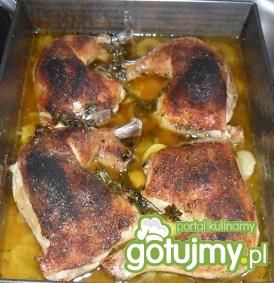 Udka w tymianku i bazylii Udka w tymianku i bazylii