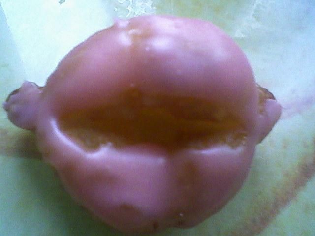 Usteczka anyżelli Usteczka anyżelli