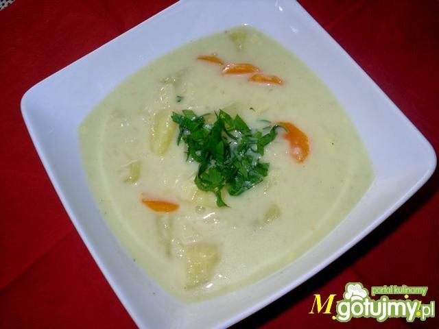 Warzywna zupa z ryżem